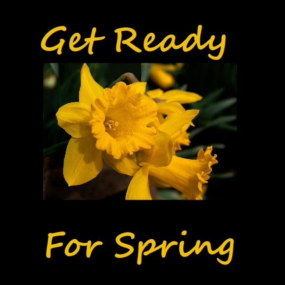 Spring Items - Picture 1 of 1